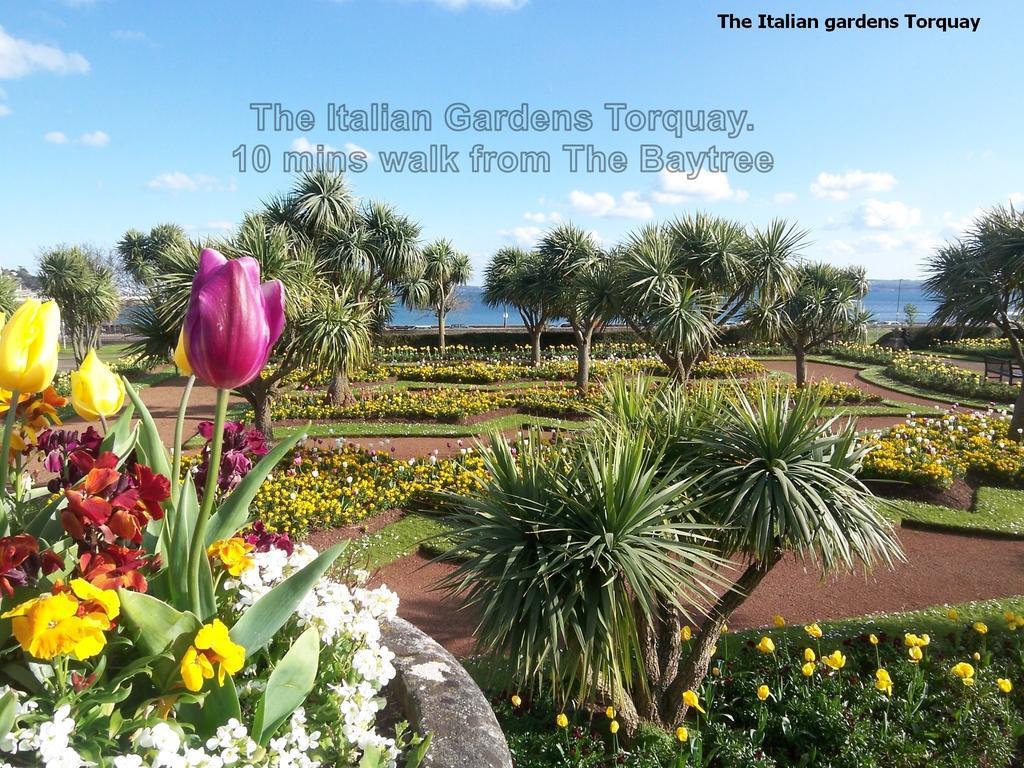 The Baytree - Exclusively For Adults Hotel Торки Екстериор снимка